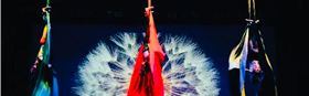 Four Seasons Aerial Silks Show