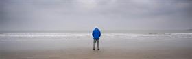 Ocean with David Attenborough (PG)