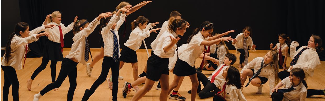 Drama lessons - T4 (5-9 years)