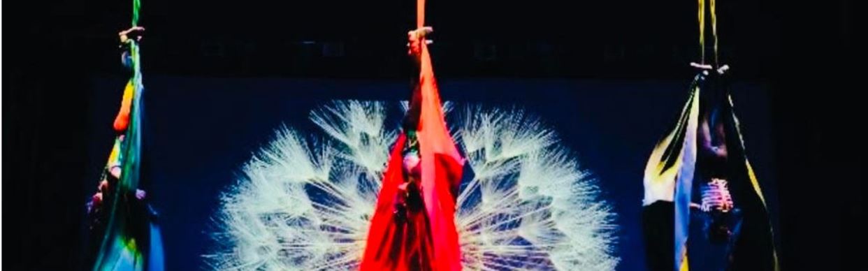 Four Seasons Aerial Silks Show