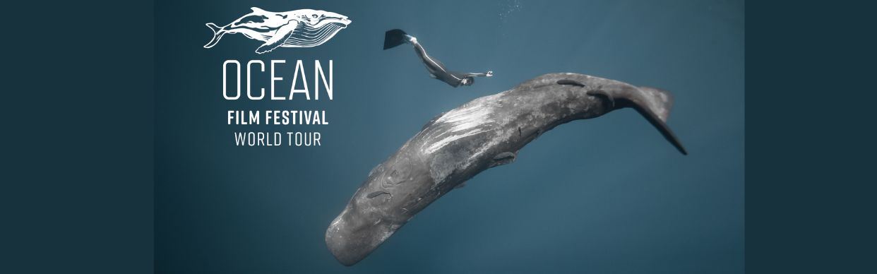 Ocean Film Festival 2025