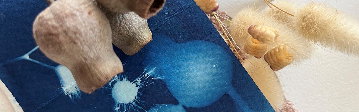 Cyanotype Workshop