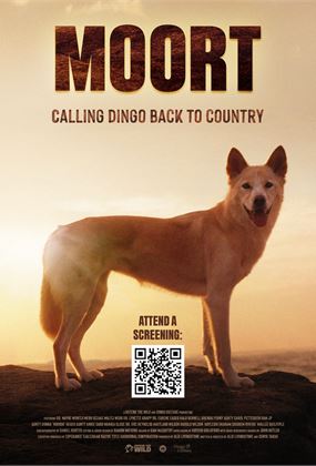 PREMIERE: MOORT - Calling Dingo Back To Country (E)
